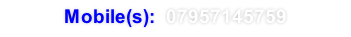 Mobile(s):  07957145759